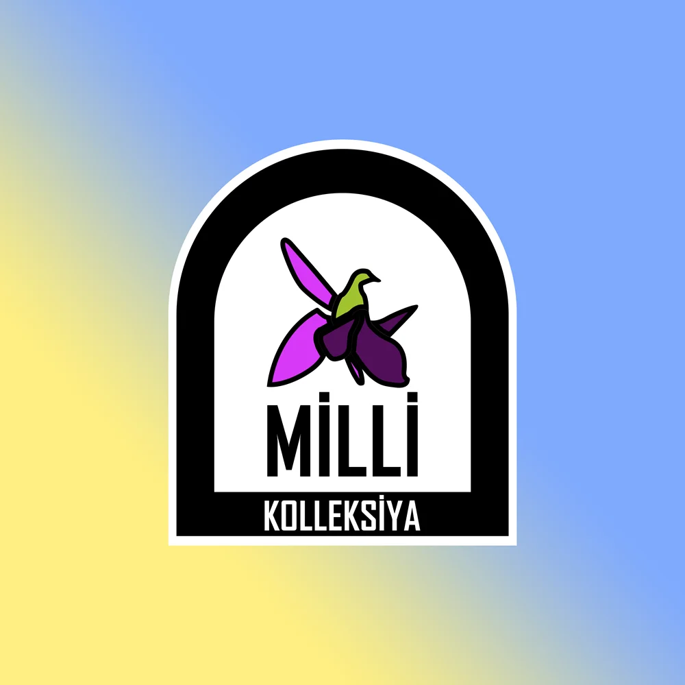 Futbol Formasi Azərbaycan